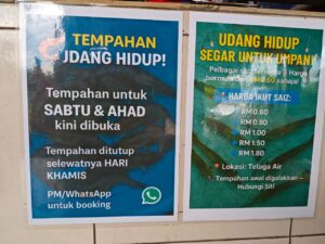 WhatsApp Image 2025-10-06 at 09.02.19_f97246ad